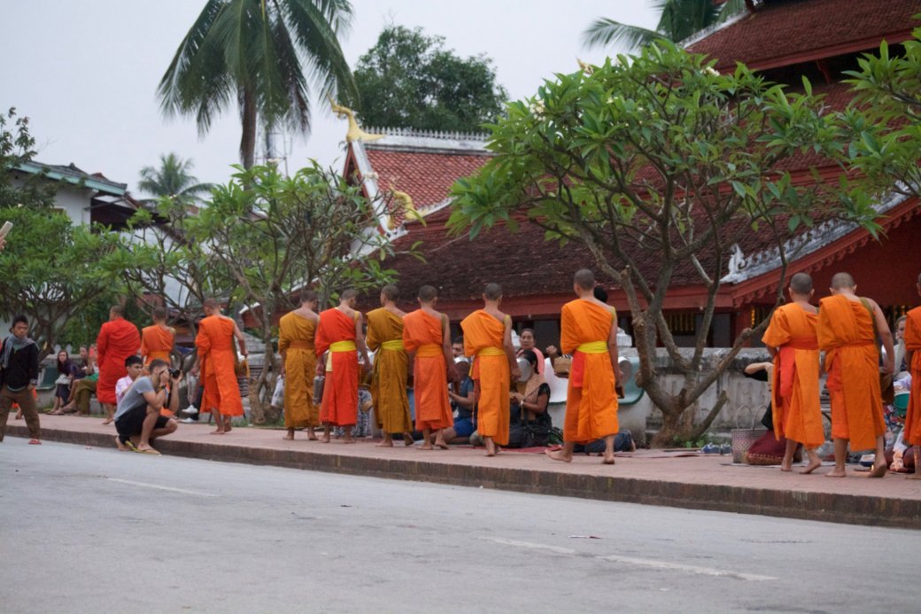 Viviendo entre monjes budistas