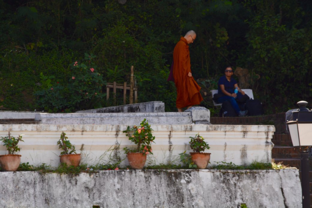 Monjes budistas